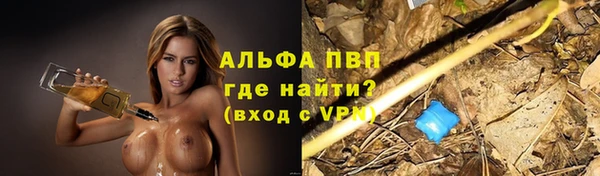 герыч Алексин