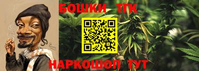 mdpv Краснознаменск