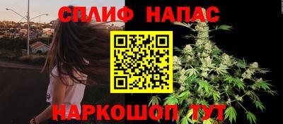 mdpv Краснознаменск