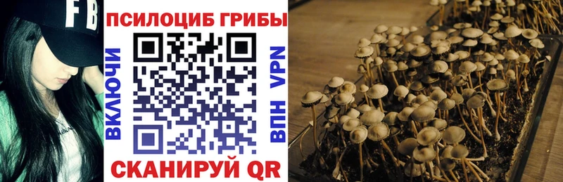 Псилоцибиновые грибы мицелий  хочу   Самара 