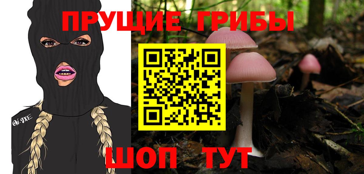 Самара  Псилоцибиновые грибы Psilocybe  Вход с VPN 