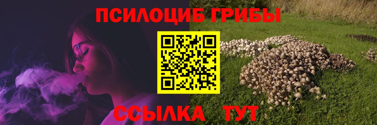 Псилоцибиновые грибы MAGIC MUSHROOMS Самара